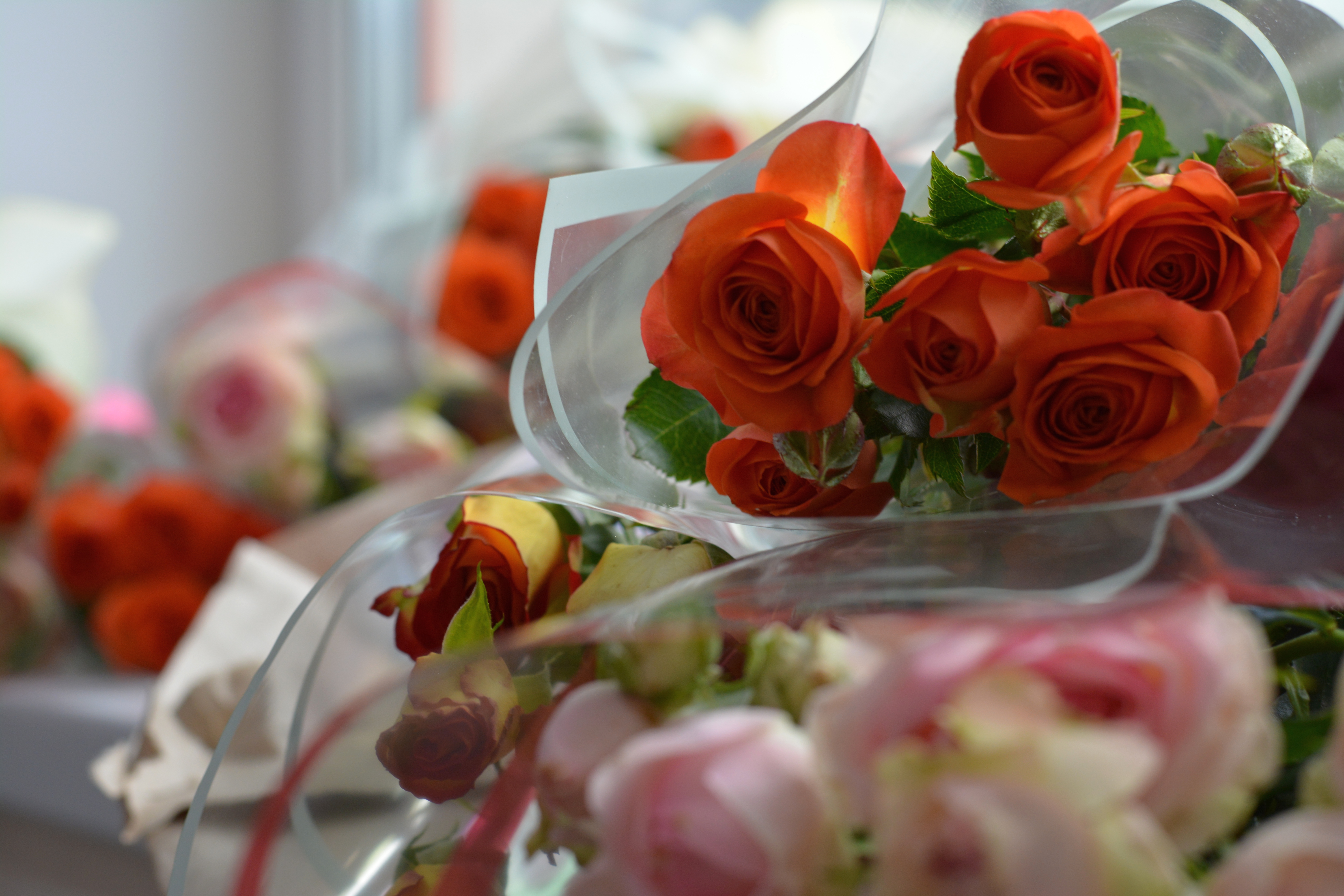 СА СВЯТАМ 8 САКАВІКА!